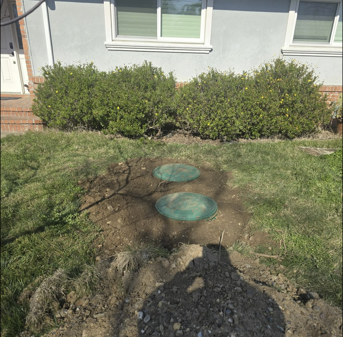 Two green septic tank access lids exposed in a lawn during a service call by Laird's Plumbing & Drain